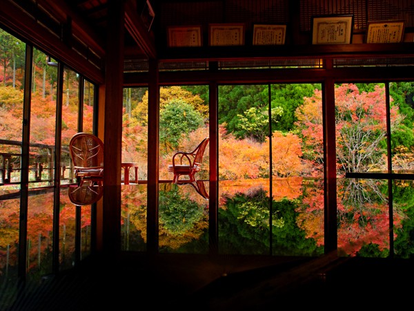 まっぷる】極彩色の錦絵の世界！佐賀県唐津の紅葉名所「環境芸術の森」