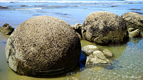 【Compathy Magazine】海にあらわれた奇岩ミステリー！丸い球体のモエラキ・ボールダーズ