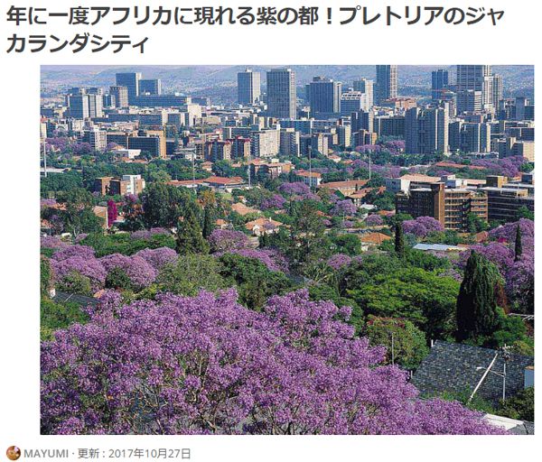 【Compathy Magazine】年に一度アフリカに現れる紫の都!プレトリアのジャカランダシティ