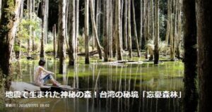 【トラベルjp】地震で生まれた神秘の森！台湾の秘境「忘憂森林」