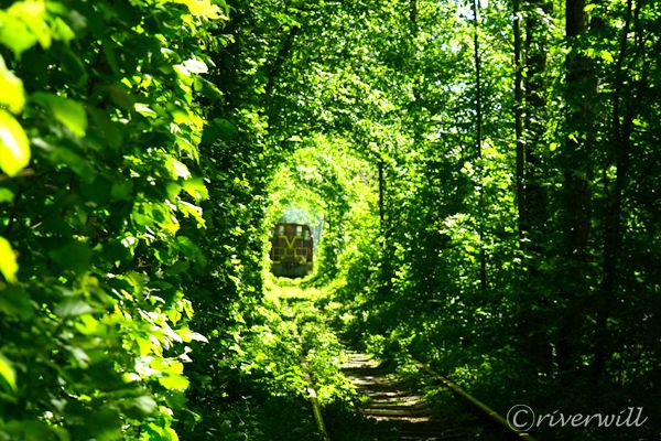 愛のトンネル（ウクライナ） Tunnel of Love, Rivne, Ukraine