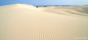 【イエメン】07-インド洋のガラパゴス！秘境ソコトラ島の旅～DAY3 アオマック・ビーチとザヒーク砂丘編 Socotra, Yemen