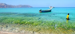 【イエメン】11-インド洋のガラパゴス！秘境ソコトラ島の旅～DAY5 シュアブ・ビーチ編 Socotra, Yemen