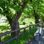 【埼玉・大蓮寺】川越の歴史散策するならサイクリングで！