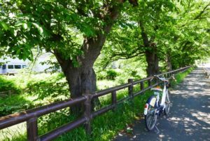 【埼玉・大蓮寺】川越の歴史散策するならサイクリングで！