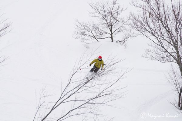 【LINEトラベルjp】極上の雪でスキー業界No.1！新潟妙高「ロッテアライリゾート」