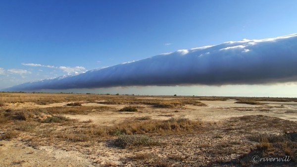 【モーニング・グローリー（オーストラリア）】とうとう出会えた！幻の巨大雲モーニング・グローリー