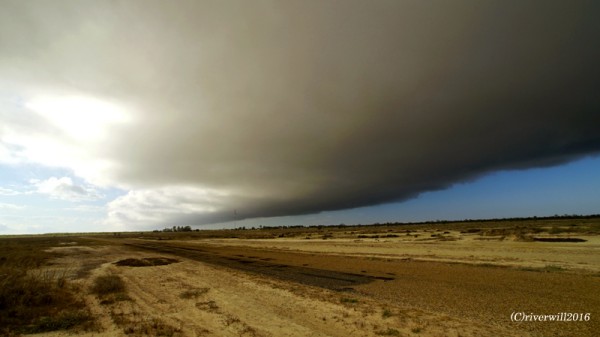 【モーニング・グローリー（オーストラリア）】凄まじい勢いで通り過ぎていく巨大雲