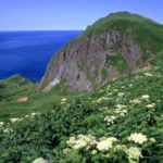 【TABIPPO】別名「花の浮島」！日本最北の有人島、礼文島で花と海の絶景トレッキング
