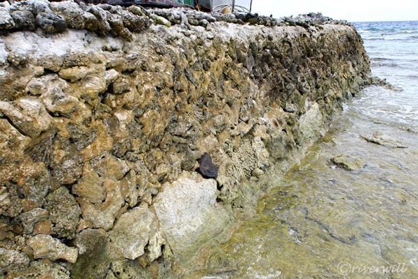 【ミクロネシア・ジープ島】珊瑚でできた土台の石垣