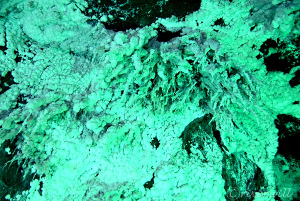 【コロンビア・ネモコン岩塩坑道】緑色の妖しいライトアップ