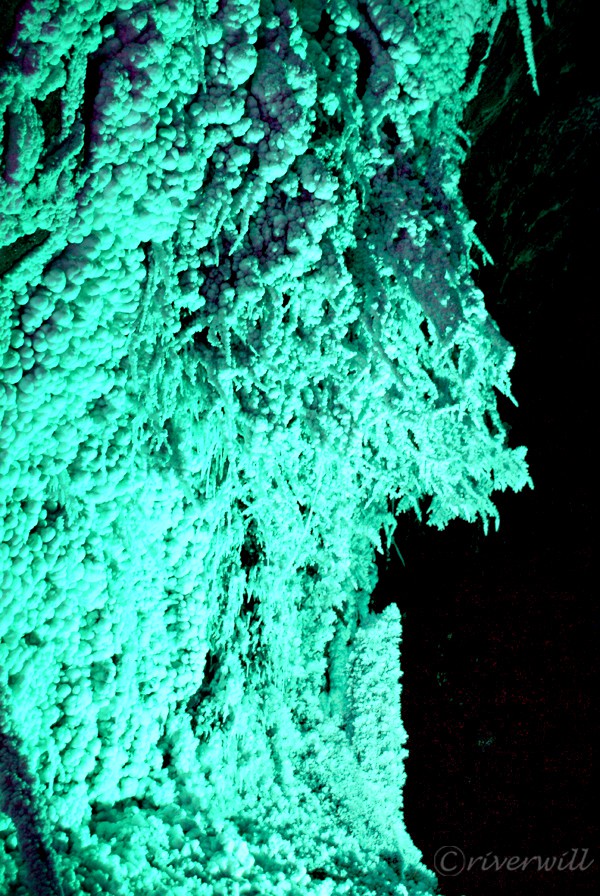 【コロンビア・ネモコン岩塩坑道】 木の根っこのように縦横無尽に生える塩の結晶