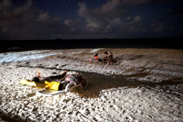 【ミクロネシア・ジープ島】夜はビーチで星空ベッド