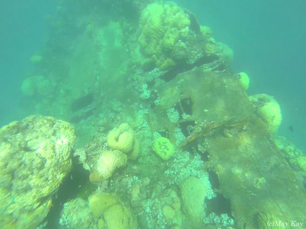 【ミクロネシア・ジープ島】きれいな形で残った沈船