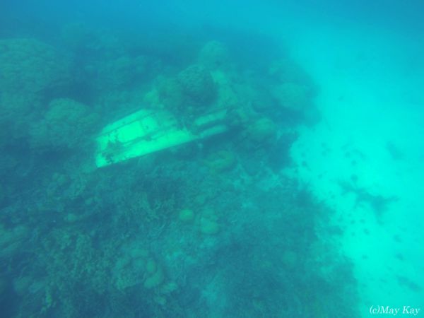 【ミクロネシア・ジープ島】仰向けに沈められたゼロ戦闘機
