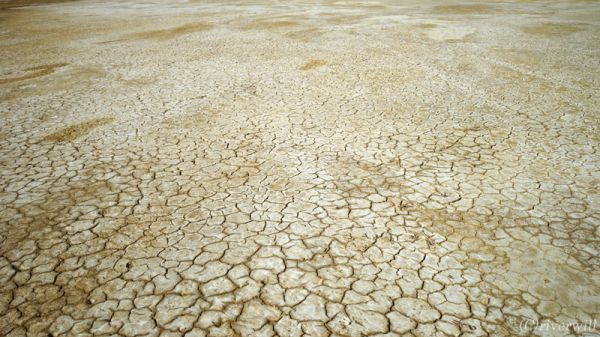 【バークタウン探訪記】 亀甲模様の干からびた塩湖