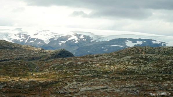 【ノルウェー・トロルの舌】氷河を見ながら下山