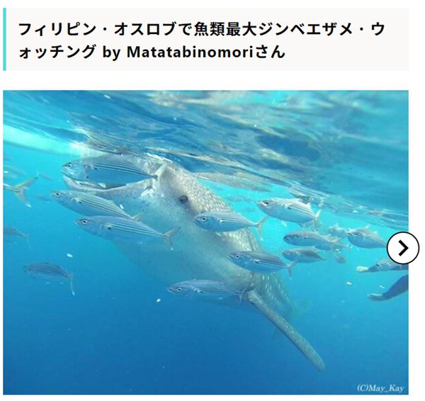 【RECOTORI】RECOTORIユーザーみなさまの「#旅のレア体験」をご紹介