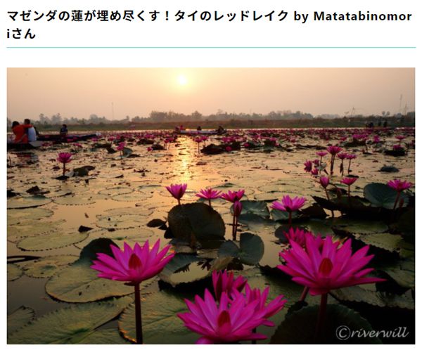 【RECOTORI】#RECOTORI旅フォトコン 結果発表!