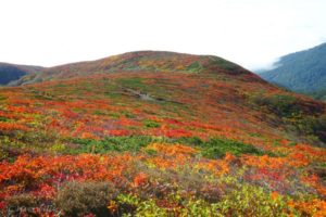 【Twitter】紅葉の秋田駒ヶ岳と栗駒山、安達太良山ソロ登山の旅（2021/09/29～30）