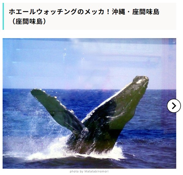 【RECOTRIP】みんなが好きな沖縄の定番・穴場観光、グルメスポット39選（#沖縄が好き）