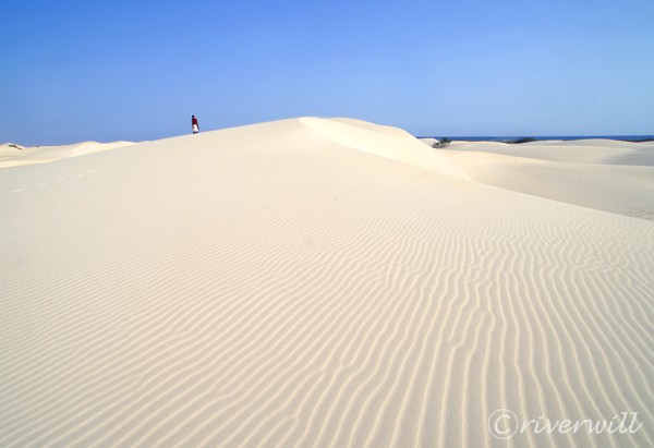 白砂の砂漠が多いソコトラ島 Zahaq Desert in Socotra
