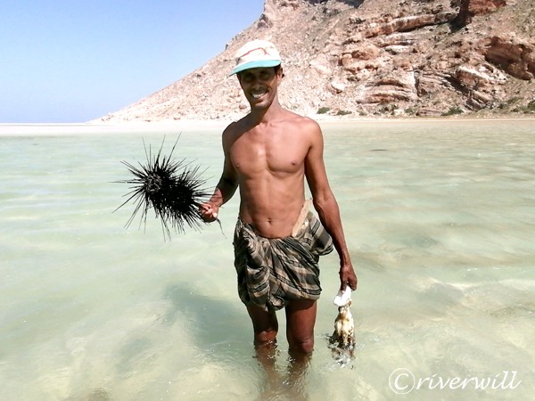海の幸が豊富で食べ物に困らない Urchin and Octopus in Socotra