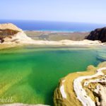 【イエメン】15-インド洋のガラパゴス！秘境ソコトラ島の旅～DAY6 アリヘル・ビーチとホムヒル・プール編 Socotra, Yemen