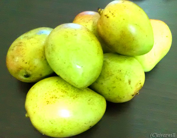 アップルマンゴー Apple Mangos