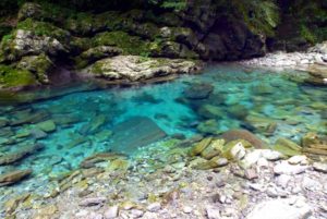 【TABIPPO】モネの池に星型の滝壺！仁淀ブルーだけじゃない、高知県の絶景名水スポット