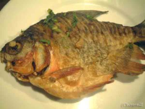 【旅メシ 世界編】ブラジルアマゾンのピラニアの素揚げ Fried Piranha fish, Brazil