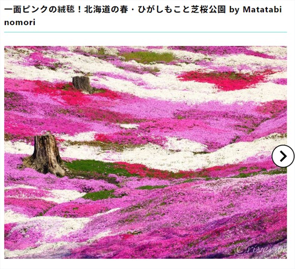 【RECOTRIP】一面ピンクの絨毯！北海道の春・ひがしもこと芝桜公園