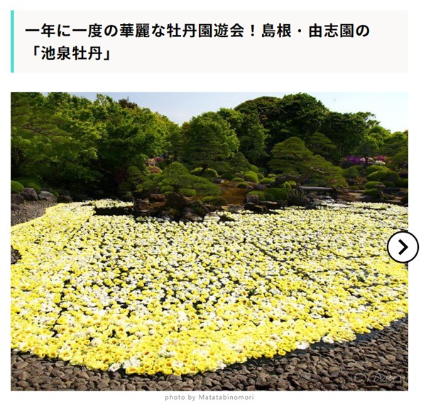 【RECOTRIP】一年に一度の華麗な牡丹園遊会!島根・由志園の「池泉牡丹」