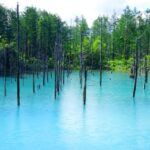 【aumo】【北海道×絶景】北の大地が生み出した美しき水の湖沼たち5選