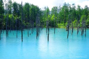 【aumo】【北海道×絶景】北の大地が生み出した美しき水の湖沼たち5選