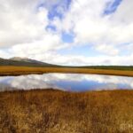 【トラベルjp】北海道の尾瀬！ 燃える草紅葉「雨竜沼湿原」で天空トレッキング