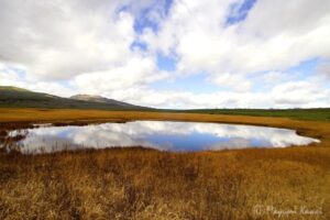 【トラベルjp】北海道の尾瀬！ 燃える草紅葉「雨竜沼湿原」で天空トレッキング
