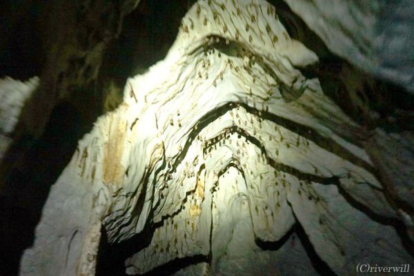 【トラベルjp】冒険好き必見！フィリピン世界遺産プエルト・プリンセサで洞窟探検クルーズ