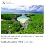 【お知らせ】JAL「trico（トリコ）」にて沖縄伊良部島の口コミが紹介されました