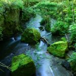 【旅行記】神秘の苔の沢「樽前ガロー」 Tarumae-Garo Gorge, Hokkaido