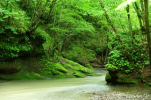 ＜北海道＞神秘の苔の沢「カンカンガロー」 Kan Kan Garo, Hokkaido