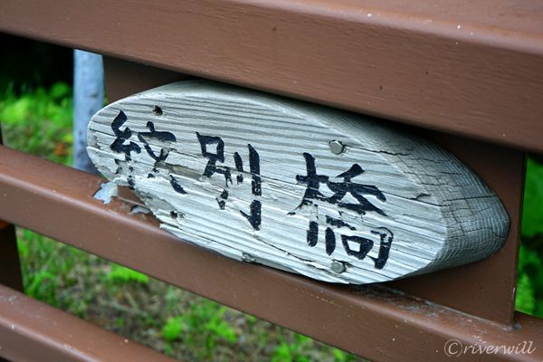 苔の回廊（支笏湖） Koke-no-Kairo(The Moss Corridor) , Lake Shikotsuko, Hokkaido