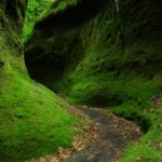 ＜北海道＞緑のベールの秘境！支笏湖の「苔の回廊」 The Moss Corridor, Hokkaido, Japan