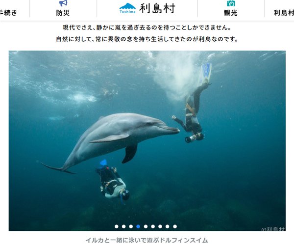 東京利島 Tokyo Toshima island Dolphin Swimming 
