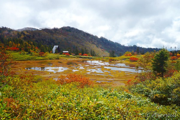 高谷池・火打山（新潟県） Koyaike wetland and Mt. Hiuchiyama (Niigata)