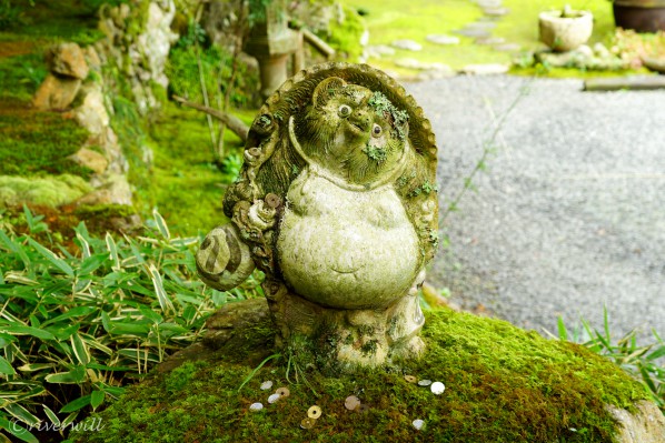 【iyomemo】西予にながれる緑の静寂 苔と杉に包まれた茶庵「こけむしろ」