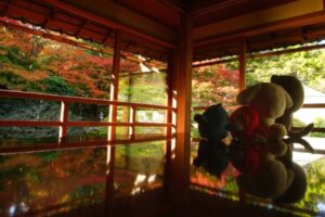 【Twitter】滋賀県の紅葉スポットをめぐる1日旅（2022/11/14～11/15）