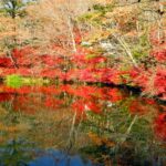 【Twitter】信州（御射鹿池・軽井沢・白糸の滝）紅葉の日帰り旅（2022/11/3）