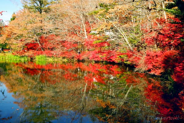 雲場池（軽井沢） Kumoba-ike pond, Karuizawa