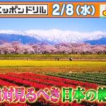フジテレビ『林修のニッポンドリル〜学者が選ぶ！春に見るべきニッポンの絶景ベスト24』